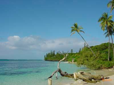 île de pins.JPG
